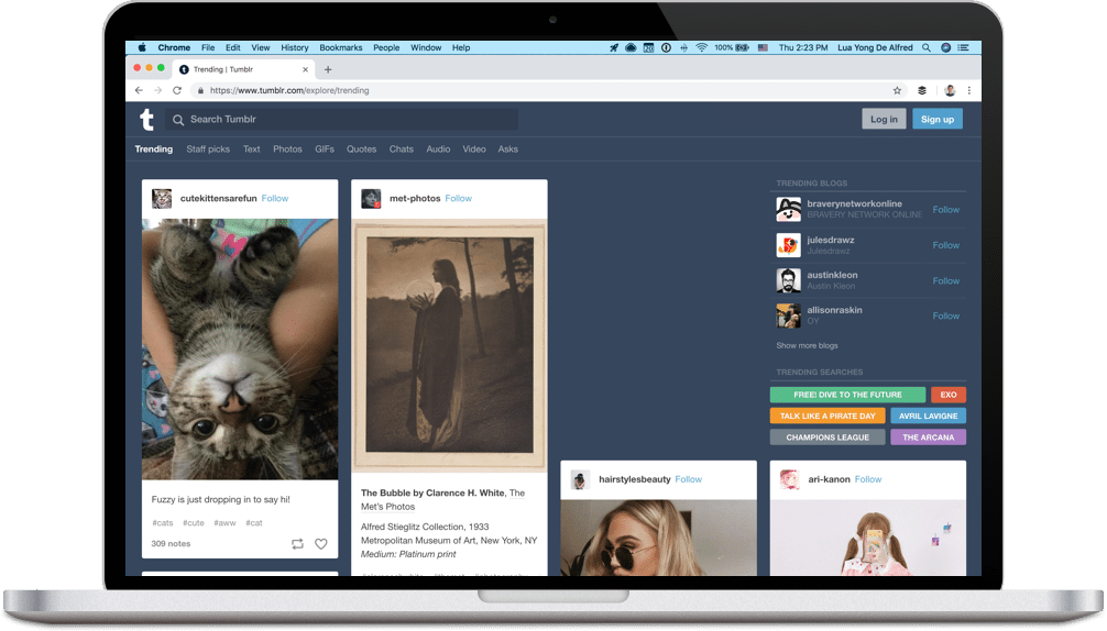 Tumblr feed screenshot Tumblr feed screenshot